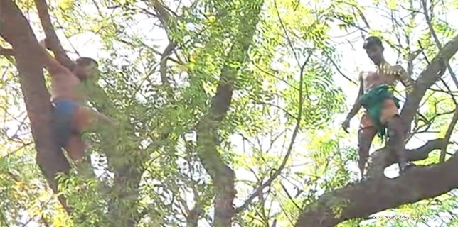 விவசாயம் பொய்த்ததால் கல்வியை தொடர முடியாத இளைஞர்