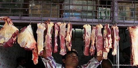 தேசத்திற்காக போராடுங்கள், மாட்டிற்காக போராடாதீர்கள்