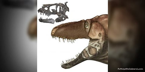 டைனோசரின் புதிய இனம் கண்டுபிடிப்பு