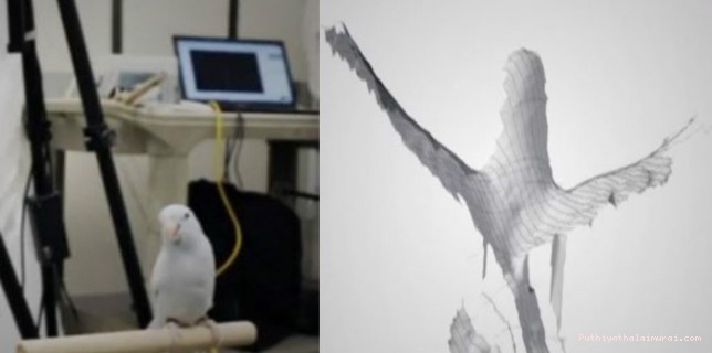 வெள்ளைக்கிளி ஸ்டைலில் ட்ரோன்: ஆராய்ச்சியில் விஞ்ஞானிகள்