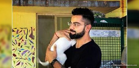 ஊனமுற்ற நாய்களைத் தத்தெடுத்த விராட் கோலி