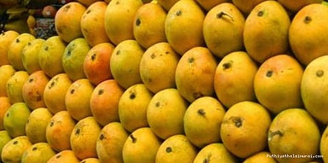 ஆஸ்திரேலியர்கள் சுவைக்கப் போகும் இந்திய மாம்பழங்கள்