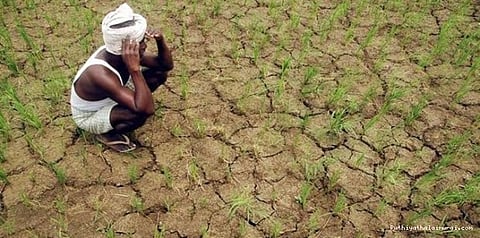 விவசாயிகள் உயிரிழப்பு: உண்மை என்ன?