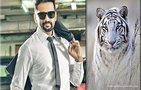 புலியுடன் பாய மழைக்காக காத்திருக்கும் சந்தானம்