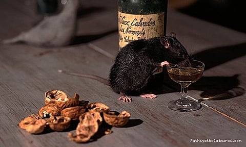 சொன்னா நம்பணும்: ஃபாரின் சரக்கை குடித்தது எலிகள்தான்: பீகார் போலீஸ் திடுக்