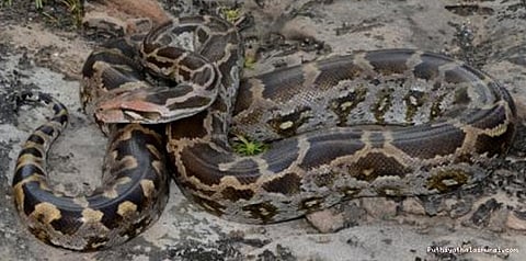 உங்க நம்பிக்கைக்கு அளவே இல்லையா மக்களே!