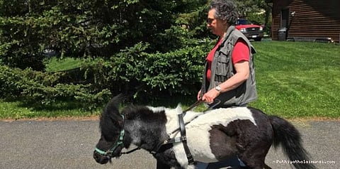 குதிரையின் சிகிச்சைக்கு 30000 டாலர் செலவு செய்த பார்வையற்ற பெண்