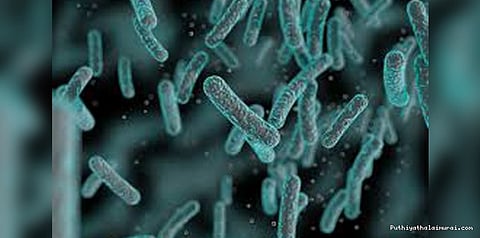 விண்வெளியில் கண்டறியப்பட்ட புதிய நுண்ணுயிருக்கு அப்துல்கலாம் பெயர்