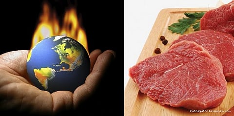 இறைச்சியைத் தவிர்த்தாலே புவி வெப்பமயமாதலைத் தடுக்கலாமாம்... நம்பிக்கை தரும் ஆய்வு