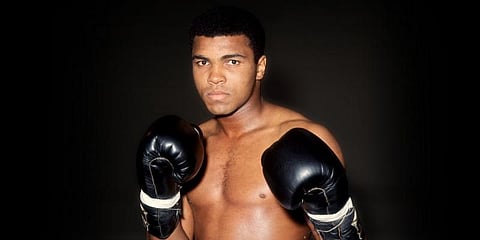 29 ஆயிரம் குத்துகள்...57 மில்லியன் டாலர் வருமானம்...