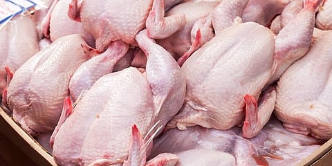 மாட்டிறைச்சி தட்டுப்பாடு: கோழி இறைச்சி விலை 30% உயர வாய்ப்பு