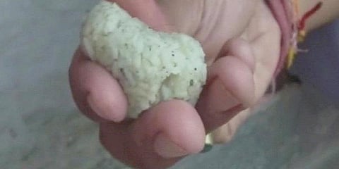 பிளாஸ்டிக் அரிசியில் பந்து: வைரலாகும் வீடியோ