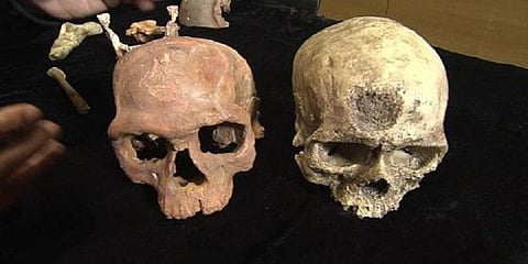 3 லட்சம் ஆண்டுகளுக்கு முன்தோன்றிய மனித இனம்