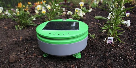 தோட்ட கலையில் களமிரங்கிய ரோபோ