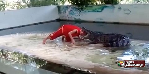 பயிற்சியாளரின் தலையைக் கவ்விய முதலை..வைரலாகும் வீடியோ