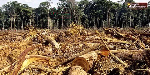மரம் நடும் ட்ரோன்...ஆஸி. பொறியாளரின் அசத்தல் கண்டுபிடிப்பு