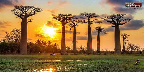 வாழ்வில் ஒருமுறையேனும் பார்க்க வேண்டிய இயற்கையின் அருட்கொடை மடகாஸ்கர்!