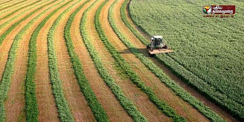 ‘இஸ்ரேலின் விவசாயப் புரட்சி’: இந்தியாவை விட 10 மடங்கு விளைச்சல் எப்படி?