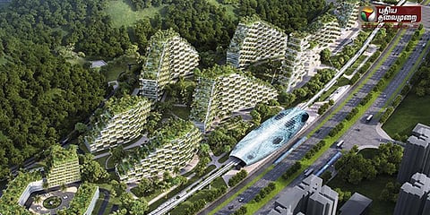 காற்று மாசுப்பாட்டை தவிர்க்க ஊருக்குள் வந்த காடு