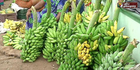 புதியதலைமுறையின் செய்தி எதிரொலி: செயற்கையாக பழுக்க வைத்த வாழைப்பழங்கள் பறிமுதல்