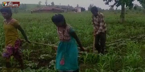 மாட்டிற்கு பதில் ஏரில் பூட்டப்பட்ட சகோதரிகள்