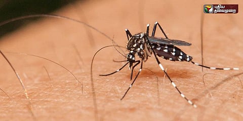 ஜிகா வைரஸின் அறிகுறிகள் என்ன? எப்படித் தடுப்பது?