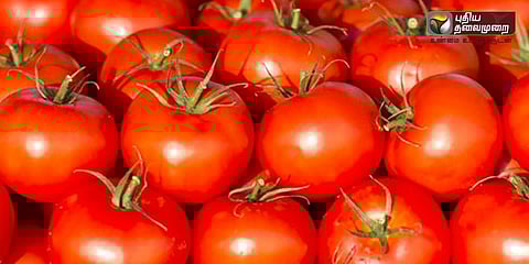 சாமானிய மக்களை வதைக்கும் தக்காளி விலை!