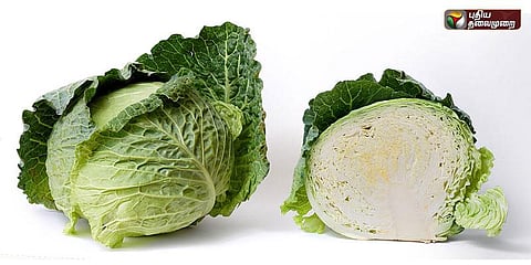 முட்டைகோஸ் விலை வீழ்ச்சி: ஒரு மூட்டை ரூ.100க்கு விற்பதால் கவலை