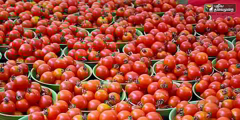 ‘தங்கம் ஆன தக்காளி’: கடும் விலை உயர்வு