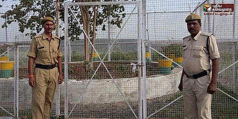 'விவிஐபி மரம்' - ஆண்டுக்கு ரூ.12 லட்சம் செலவு செய்யும் அரசு