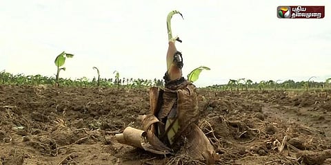 மாற்றுப் பயிருக்கு மாற அறிவுறுத்தினால் போதுமா? பயிற்சி வேண்டாமா? சாத்தியமுண்டா?