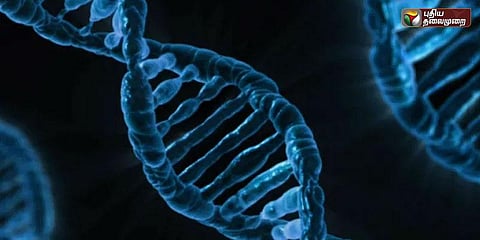 மெமரி கார்டான டிஎன்ஏ... பாக்டீரியாவின் டிஎன்ஏவில் வீடியோவை பதிவு