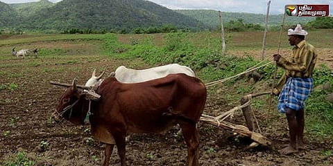 மழை பெய்யும் என்று பொய்... வானிலை ஆய்வு மையம் மீது விவசாயிகள் புகார்