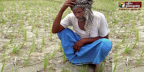75 சதவிகிதம் குறைந்த திருவாரூர் குறுவை சாகுபடி; கேள்விக்குறியாகும் விவசாயம்..!