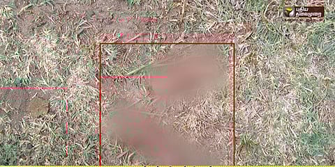 கரும்புத் தோட்டத்தில் கிடந்த 2 வயது குழந்தையின் உடல் பாகங்கள்: நரபலியா?