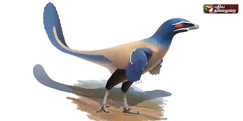 டைனோசர் போன்ற பறவை: கனடா ஆராய்ச்சியாளர்கள் கண்டுபிடிப்பு