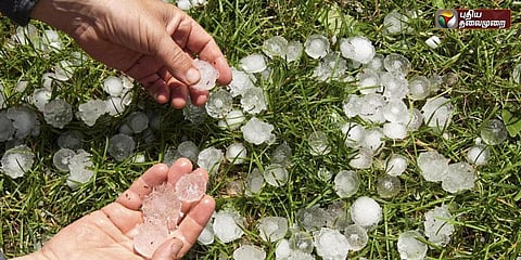 வானத்திலிருந்த ஐஸ் பந்து மழை - ஆயிரக்கணக்கான ஆடுகள் பலி