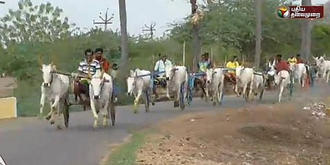 விறுவிறுப்பான மாட்டு வண்டிப் பந்தயம்