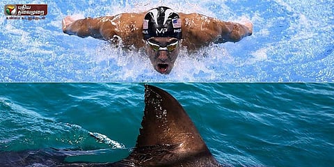 நீச்சல் மன்னனை வென்ற வெள்ளை சுறா