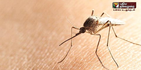 நாட்டில் நான்கு பேருக்கு ஜிகா வைரஸ் பாதிப்பு