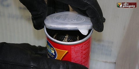 ராஜநாகங்களை டப்பாக்களில் கடத்தியவர் அமெரிக்காவில் கைது