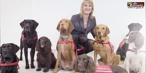 நோய்களைக் கண்டறியும் நாய்கள்