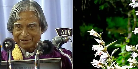 கணப்பொழுதில் கவிதை எழுதிய கலாம்