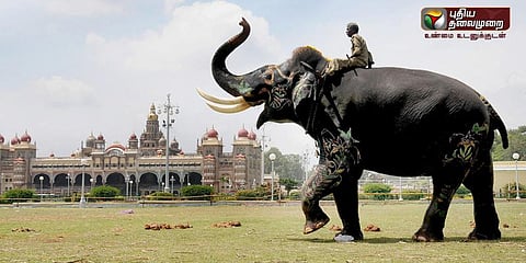 மைசூரு தசரா விழா: ரெடியாகிறார் ‘அர்ஜுனா’