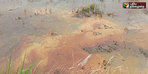 எண்ணெய் கசிவு: கதிராமங்கலம் விளை நிலங்களில் பாதிப்பு