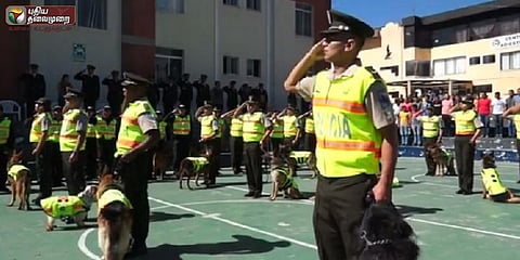 16 மோப்ப நாய்களுக்கு அரசு மரியாதையுடன் பணி ஓய்வு