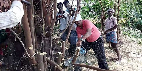கருவேல மரங்களை அகற்ற களத்தில் இறங்கிய வைகோ