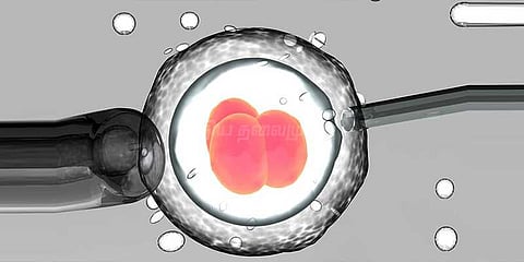 உடல் குறைபாடுள்ள மரபணுக்களை கருவிலேயே மாற்றலாம் - ஆராய்ச்சியாளர்கள் சாதனை
