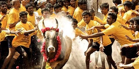 2018-ல் சென்னையில் ஜல்லிக்கட்டு