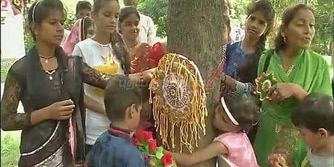 மரங்களுக்கு ராக்கி கயிறுகளைக் கட்டிய குழந்தைகள்